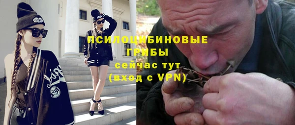 спиды Липки