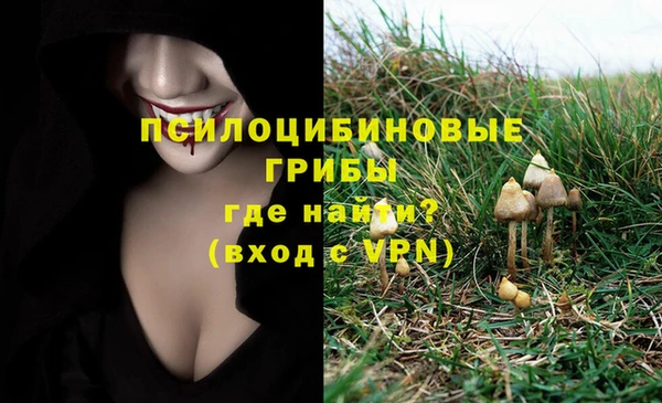 синтетический гашиш Лихославль