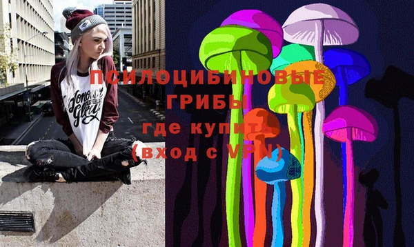 спиды Липки