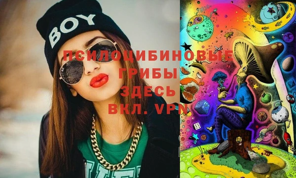 спиды Липки