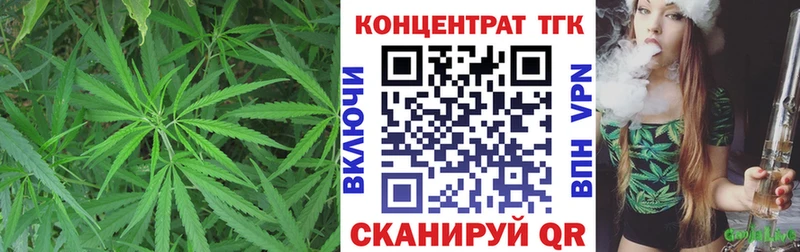 Купить где  Рошаль  ТГК концентрат 