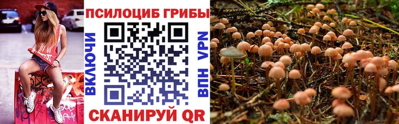 Галлюциногенные грибы MAGIC MUSHROOMS  Купить где  Рошаль 