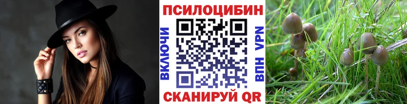 Псилоцибиновые грибы GOLDEN TEACHER Рошаль